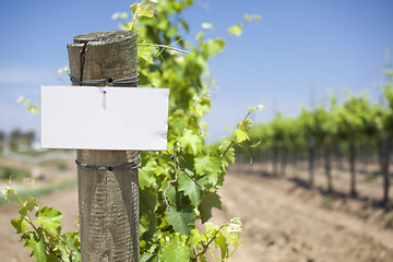 Image showing Grape Wine Vineyard with Wooden Post Holding Blank Sign