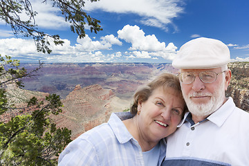 Image showing Happy Senior Couple Posing on Edge of The Grand Canyon