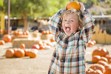 Image showing Little Boy Holding His Pumpkin at a Pumpkin Patch