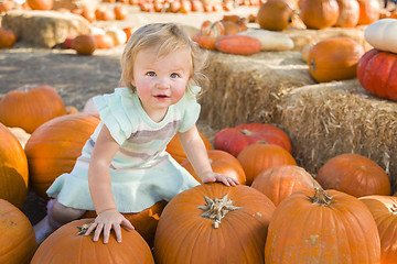 Image showing Adorable Baby Girl Holding a Pumpkin at the Pumpkin Patch