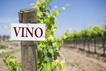 Image showing Vino Sign On Vineyard Post