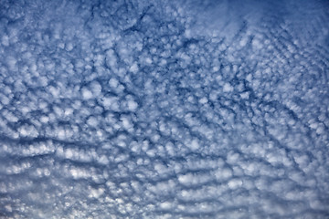 Image showing Altocumulus middle-altitude cloud in stratocumuliform - nature b