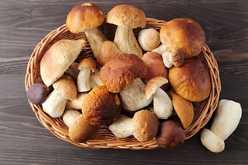 Image showing Porcini mushrooms