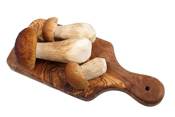 Image showing Porcini mushrooms