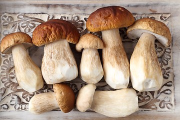 Image showing Porcini mushrooms