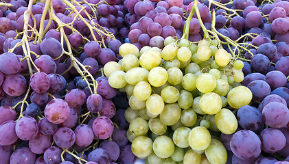 Image showing Red and white grapes