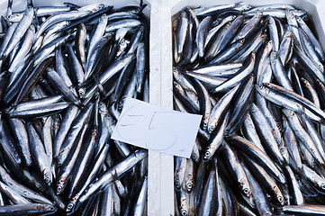 Image showing Fish market