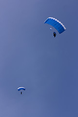 Image showing Airborne parachutists