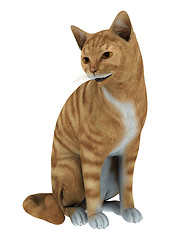 Image showing Red Tabby Cat