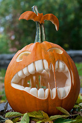 Image showing Halloween pumpkin