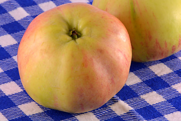 Image showing Fresh apple