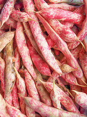 Image showing Cranberry beans