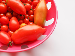 Image showing Tomato vegetable