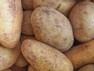 Image showing Potato vegetable