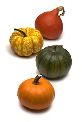 Image showing pumpkin