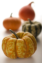 Image showing pumpkin