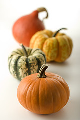 Image showing pumpkin