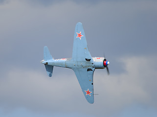 Image showing Yak 11
