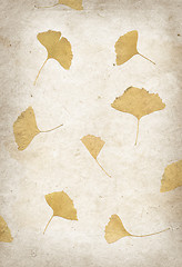 Image showing Handmade flower petal paper texture