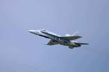 Image showing F/A-18 Hornet
