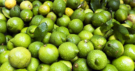 Image showing Citrus fruit