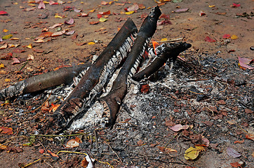 Image showing Smoldering fire on a background of autumn of leaves