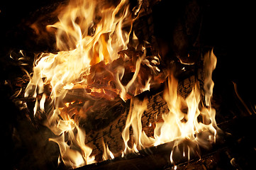 Image showing Campfire close-up