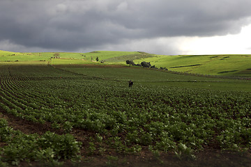 Image showing Beautiful landscape in Ifrane