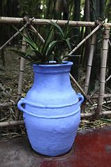 Image showing Jardin Majorelle