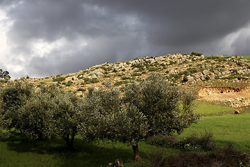 Image showing Beautiful landscape in Ifrane