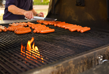 Image showing Barbecue cookout