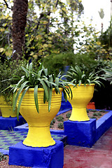 Image showing Jardin Majorelle