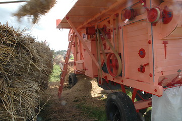 Image showing Corn threshing