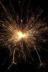 Image showing Burning sparkler on black background