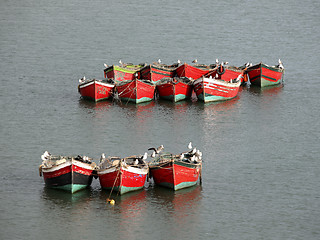 Image showing Gulls on fisher boats