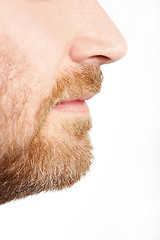 Image showing Male face profile with beard