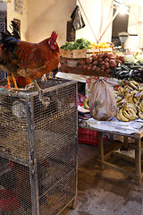 Image showing Market in Morocco