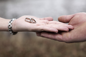 Image showing Hands of a bride and groom