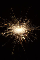 Image showing Burning sparkler on black background