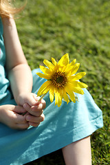 Image showing Small girl holds beautiful sunflower in her hands