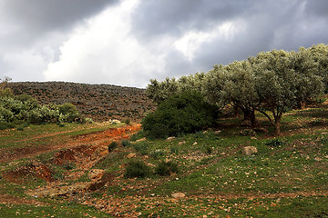 Image showing Beautiful landscape in Ifrane