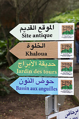 Image showing Botanical garden in Rabat