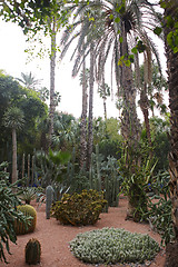 Image showing Jardin Majorelle