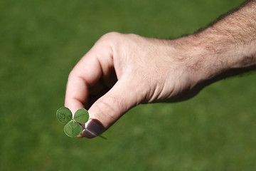 Image showing Shamrock