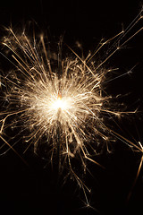 Image showing Burning sparkler on black background