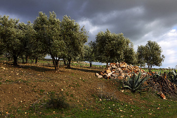 Image showing Beautiful landscape in Ifrane