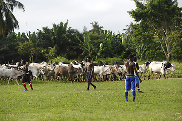 Image showing African soccer team during training