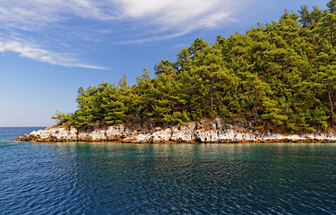 Image showing Green island