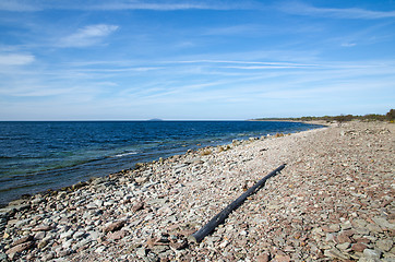 Image showing Stony coastline with driftwood