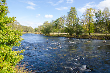 Image showing Streaming water in small river